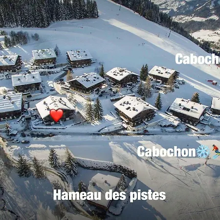 Hameau Des Pistes - Ski-in And Ski-out *