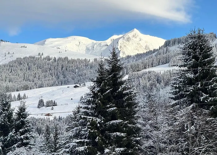 Hameau Des Pistes - Ski-in And Ski-out דירה
